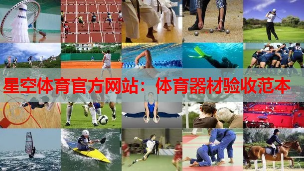 体育器材验收范本