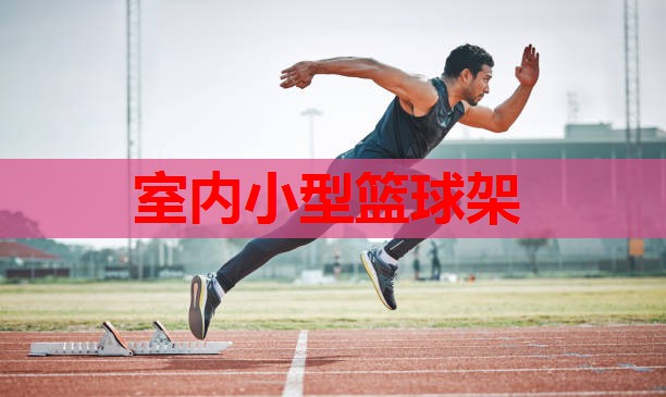 室内小型篮球架