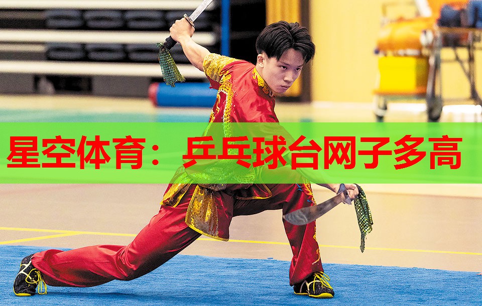 乒乓球台网子多高