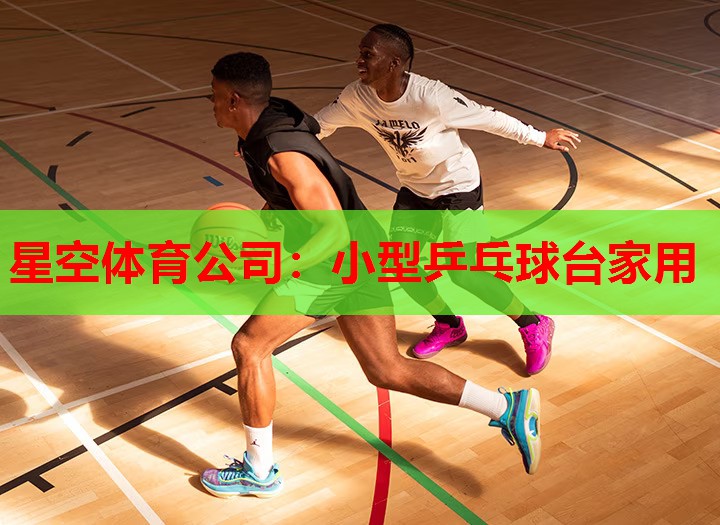 小型乒乓球台家用