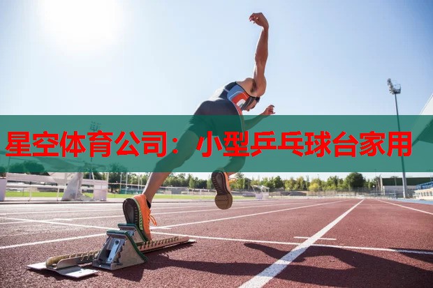小型乒乓球台家用