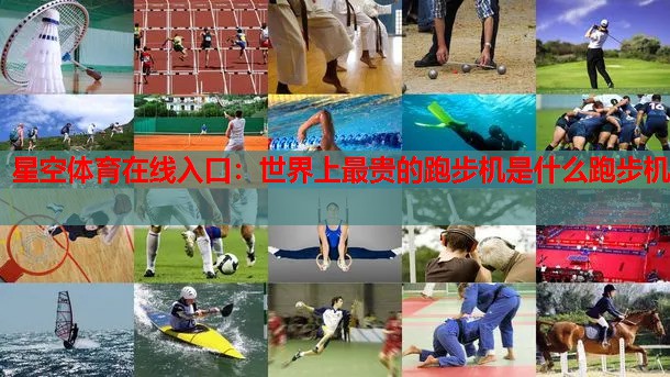 世界上最贵的跑步机是什么跑步机